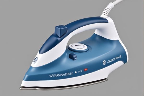 Popular Steam Iron Brands in India